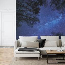 Night Sky Milky Way Forest Wallpaper Mural, Peel & Stick Wall Decal - thumbnail 2