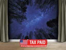 Night Sky Milky Way Forest Wallpaper Mural, Peel & Stick Wall Decal - thumbnail 1