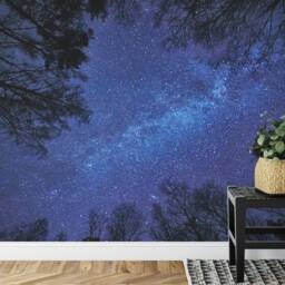 Night Sky Milky Way Forest Wallpaper Mural, Peel & Stick Wall Decal - thumbnail 3