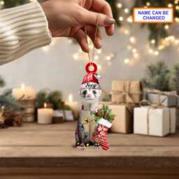 Custom Name Cute Sitting Ferret With Santa Hat Christmas Lights Ornament, Tree Hanging Decor, Flat 2D Ornament - thumbnail 2