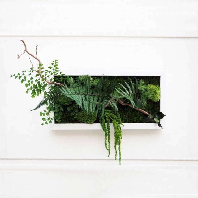 stabilized Plant Wall Art Cuban Night 20x40 cm - Elegant, Maintenance-Free Decoration, Made in France For Living Room, Bedroom, Entrance Hall - image 1