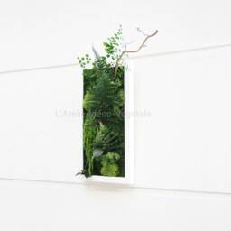 stabilized Plant Wall Art Cuban Night 20x40 cm - Elegant, Maintenance-Free Decoration, Made in France For Living Room, Bedroom, Entrance Hall - thumbnail 3