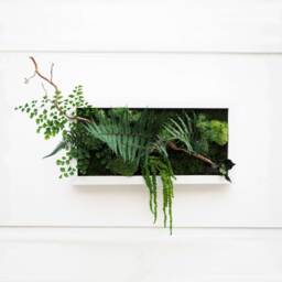stabilized Plant Wall Art Cuban Night 20x40 cm - Elegant, Maintenance-Free Decoration, Made in France For Living Room, Bedroom, Entrance Hall - thumbnail 1
