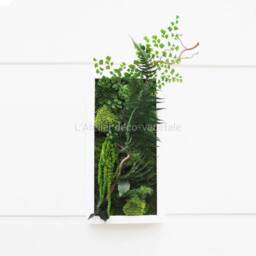 stabilized Plant Wall Art Cuban Night 20x40 cm - Elegant, Maintenance-Free Decoration, Made in France For Living Room, Bedroom, Entrance Hall - thumbnail 2