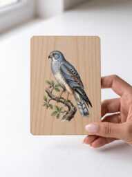 Montagu's Harrier Art Print - Vintage Rare British Bird Of Prey Pine Wooden Postcard Wall - thumbnail 1