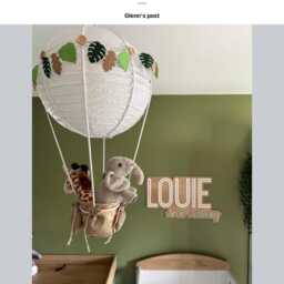 Hot Air Balloon Light Shade, Decoration, Woodland, Jungle Themed, Toy Not Included - thumbnail 3