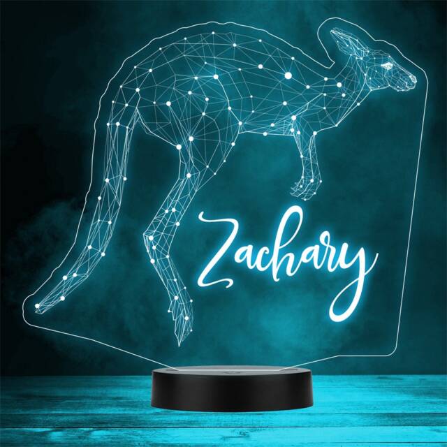 3D Style Kangaroo Jumping Personalised Gift Colour Changing Led Lamp Night Light - image 1