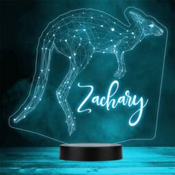 3D Style Kangaroo Jumping Personalised Gift Colour Changing Led Lamp Night Light