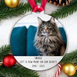 Personalised Cat Memorial Tree Decoration Bauble - Kitten Animal Pet Acrylic - thumbnail 2
