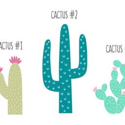 Cactus Wall Decals - Nursery Decal, Cacti Decals, Kids Room Succulent Decor, Unique Decor - thumbnail 2