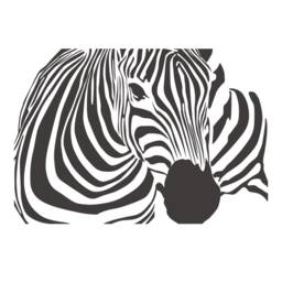 Zebra Vinyl Wall Decal Sticker - Decal, Zoo Nursery, Nature 198 - thumbnail 3