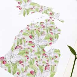Michigan State Flower Map Watercolor Apple Blossom - Art Print Wall Graduation Wedding Anniversary Realtor Moving Gift Great Lakes - thumbnail 4