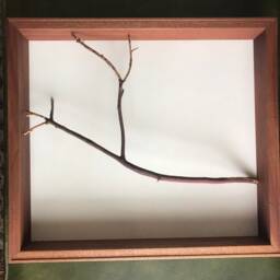 Organic Woodworking Sculpture in Madrone & Sapele - thumbnail 2