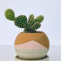 Handmade Desert Concrete Plant Pot Small Orb Planter With Saucer - thumbnail 3