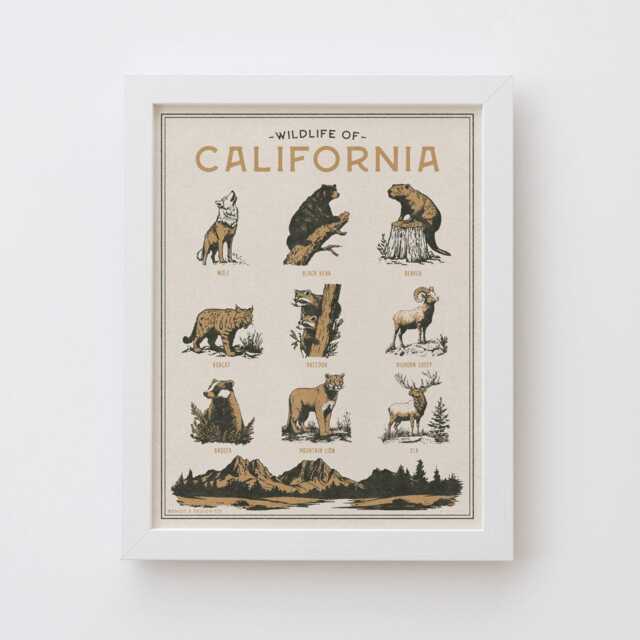 California Wildlife Wall Art Print - Vintage Poster Design, Archival Quality Matte Fine Art Print. Outdoor, Wilderness Gift. Animal - image 1