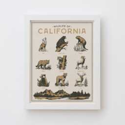 California Wildlife Wall Art Print - Vintage Poster Design, Archival Quality Matte Fine Art Print. Outdoor, Wilderness Gift. Animal - thumbnail 1