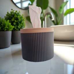 Stylish Toilet Paper Box With Lid, Discreet Bathroom Storage