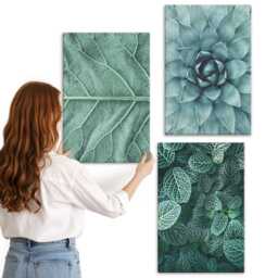 Canvas Wall Art Set Of 3 - Close-Ups Succulent Plants & Leaves, Green Print, Flowers Decor - thumbnail 2