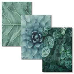 Canvas Wall Art Set Of 3 - Close-Ups Succulent Plants & Leaves, Green Print, Flowers Decor - thumbnail 1