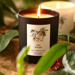 Ripe Mango Soy Wax Candle Vegan Natural Tropical Gift For Her Summer Home Decor Fruity Beach Garden - thumbnail 3