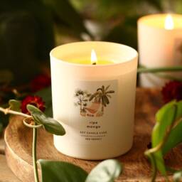 Ripe Mango Soy Wax Candle Vegan Natural Tropical Gift For Her Summer Home Decor Fruity Beach Garden - thumbnail 2