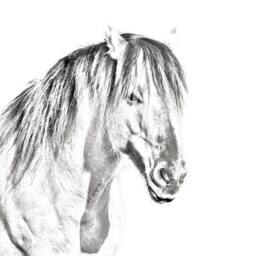Henson - Wooden Stand For Candles/Pens With The Image Of A Horse New Collection - thumbnail 2
