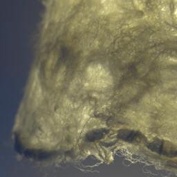 Handfelted Lampshade, Pendant Light, Lamp, White Hanging Felted Natural Wool & Lace Fabric - thumbnail 3