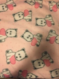 Valentines Dog Fleece Blanket Large - thumbnail 1