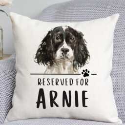 Springer Spaniel Cushion - Dog Related Gift Reserved For Dog Cushion Gift
