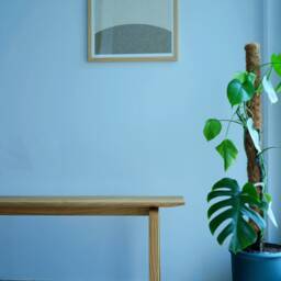 Solid Wood Bench - Handcrafted Wooden Made From Japanese Pagoda Tree - thumbnail 4