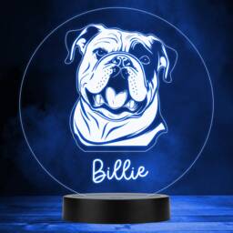 English Bulldog Dog Pet Multicolour Personalised Gift Led Lamp Night Light - Bedroom