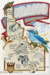 Idaho State Pillow With Feather Insert - thumbnail 3