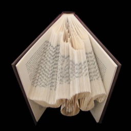 Snake - Reptile Pet Ophiology Herpetology Folded Book Art Sculpture - thumbnail 2