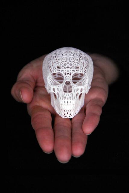 Skull Sculpture Crania Anatomica Filigre - Mini - image 1