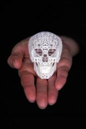Skull Sculpture Crania Anatomica Filigre - Mini - thumbnail 1