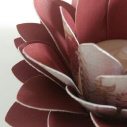 Paper Lotus Lantern -Burgandy Floral - thumbnail 2