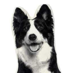 Silkscreened Border Collie Pillow, Contour Shaped Dog Throw Pillow - thumbnail 3