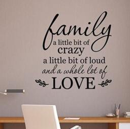 Family A Little Bit Of Crazy Wall Decal Vinyl Sticker Wedding Saying Inspirational Quote Gift Art Home Interior Decor Poster 24Qs - thumbnail 1