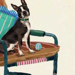 Boston Terrier Print - Dogs On Chairs Collection 5x7 Inches/A5 A4 A3 - thumbnail 2