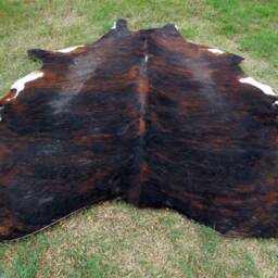 Brindle Dark Brown Large New Cowhide Rug Natural Hair On - 6x6 Ft Size Approx Tri-Color Chocolate Tones Soft Carpet Cow Hide R-R O - thumbnail 2