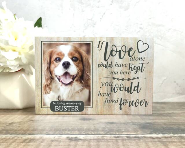 Dog Memorial Gift, Memorial, Pet Frame, Plaque, Photo Picture Cat - image 1