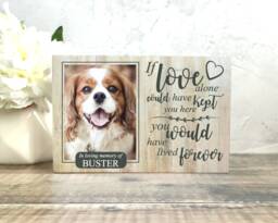 Dog Memorial Gift, Memorial, Pet Frame, Plaque, Photo Picture Cat - thumbnail 1