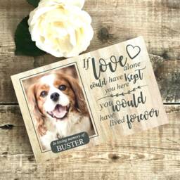 Dog Memorial Gift, Memorial, Pet Frame, Plaque, Photo Picture Cat - thumbnail 2