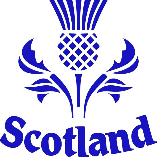 Scotland Thistle Decal Car Sticker Vinyl Wall Art Bonnet Side Van Graphic Door Motorhome Campervan Caravan