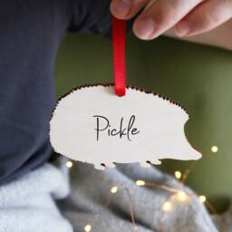 Hedgehog Wooden Hanging Christmas Decoration - Personalised Pygmy Gift - thumbnail 2