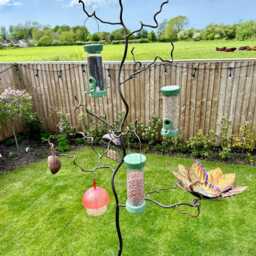 Beech Leaf Bird Seed Feeder & Bath in Colourful Stainless Steel For Use On Our Birdfeeder Trees - thumbnail 2