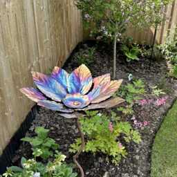 Beech Leaf Bird Seed Feeder & Bath in Colourful Stainless Steel For Use On Our Birdfeeder Trees - thumbnail 4