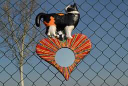 Cat Chloe Custom Mirror Made To Order, Tuxedo Calico Cat & Red Heart Wall Mirror, Remembrance, Photos, With Necklace, Mirror