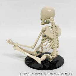 Zen Skeleton - Small - thumbnail 3