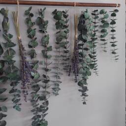 Eucalyptus & Lavender Wall Hanging - Home Decor Plant Dried - thumbnail 4